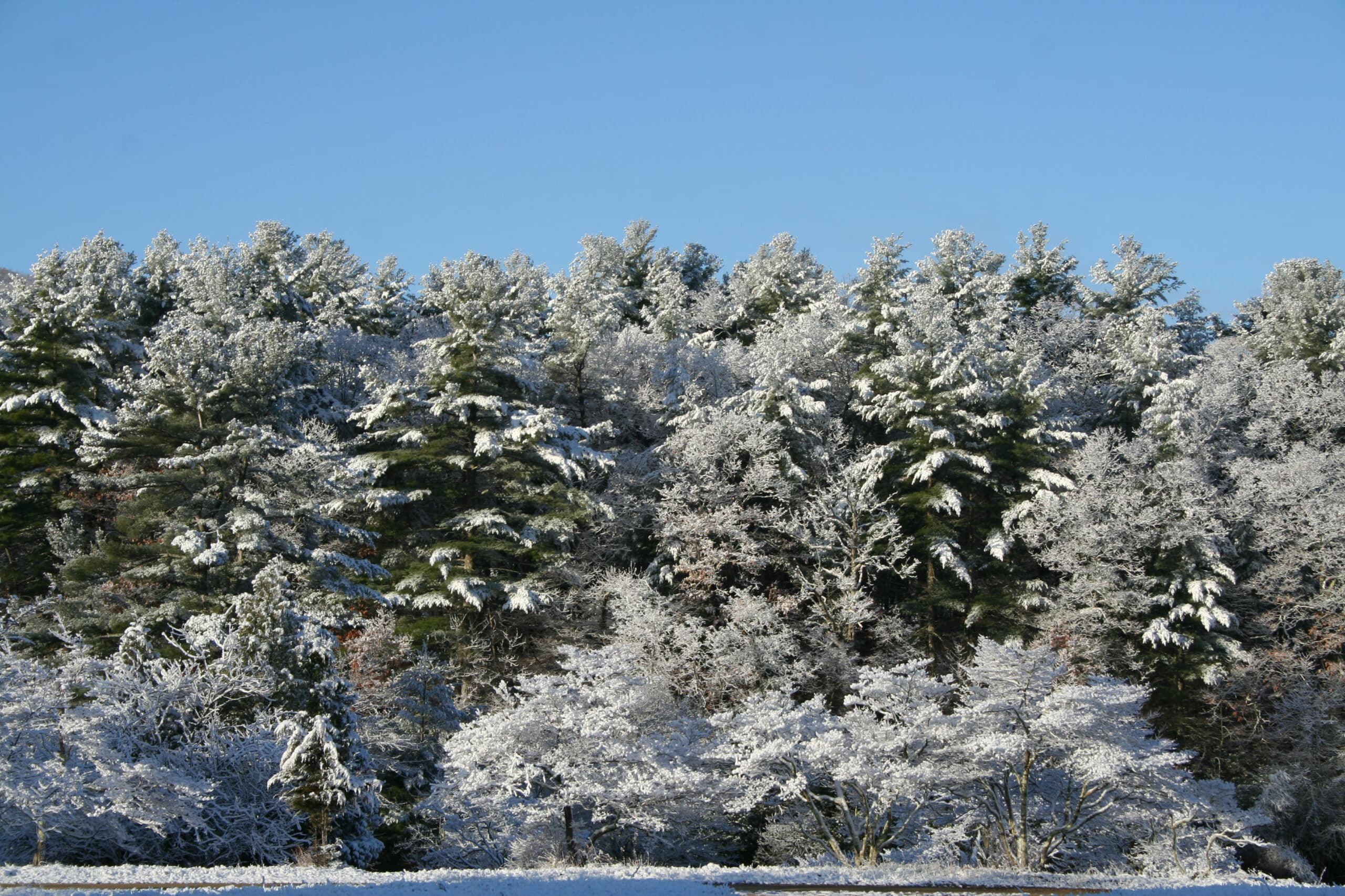 Explore our 2025-2026 Winter Programs & Secure Your Spot Today