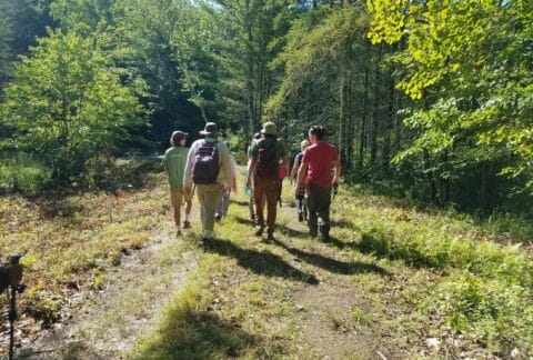 2022 Interns walking