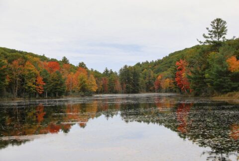 Norcross Pond DanJaffe 1 scaled