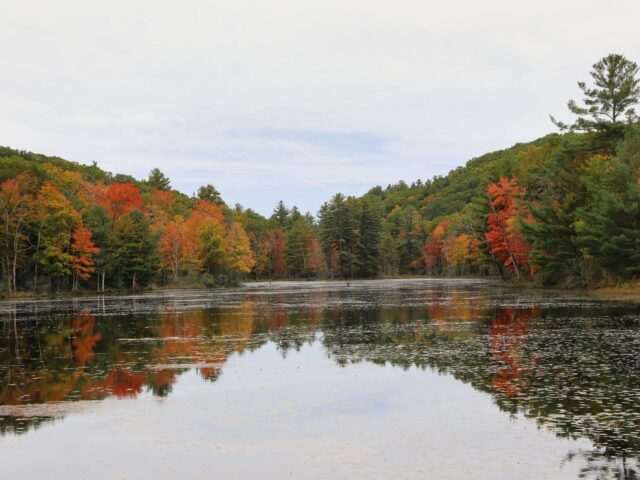 Norcross Pond DanJaffe 1 scaled