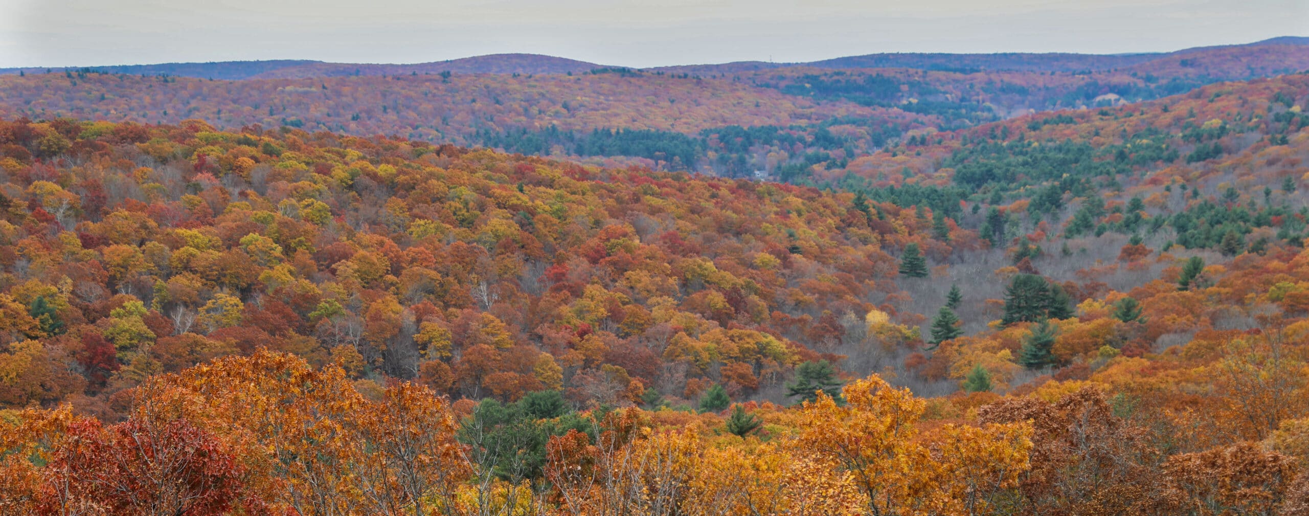 Saturday Hike to Bear Hill - The Norcross Wildlife Foundation