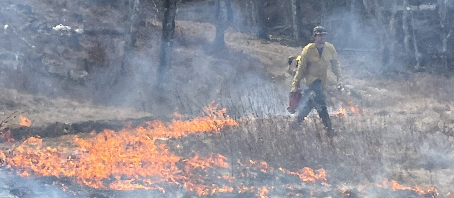 Fire for Life: Norcross Wildlife Foundation uses prescribed burn