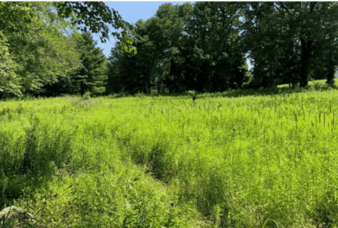 MA Landowner outreach event e1749659435509