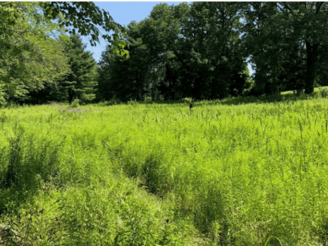 MA Landowner outreach event e1749659435509