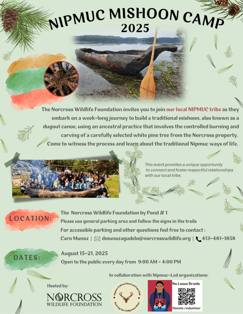 Flyer MishoonCamp