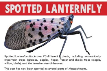 POSTPONED – October 4th Healthy Forests and Birds