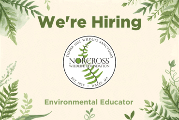 Watch Mishoon Camp 2025: Reviving Nipmuc Traditional Ways