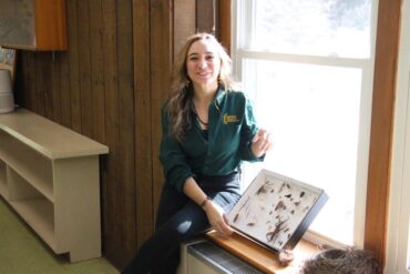 The Role of Deer Hunting on Wildlife Conservation