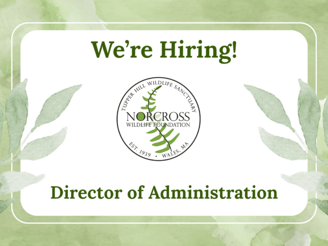 Were Hiring
