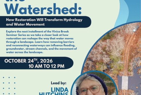 linda hutchins seminar